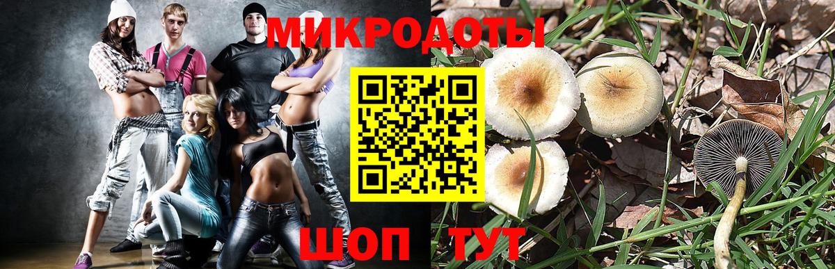 Миасс  Псилоцибиновые грибы мицелий  Вход с VPN 