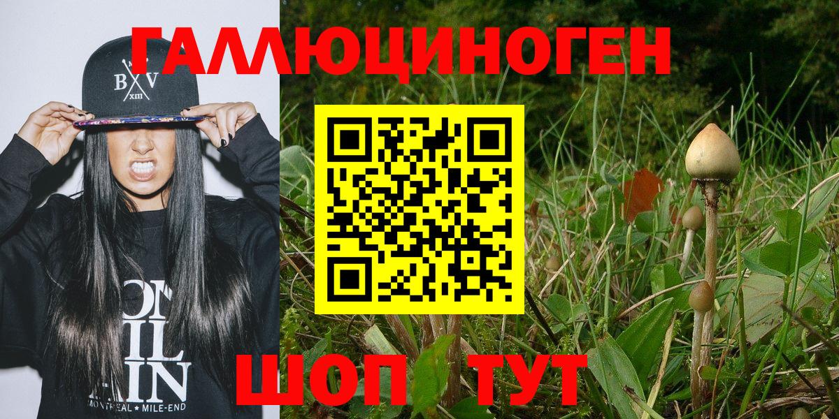 Галлюциногенные грибы Psilocybe Миасс