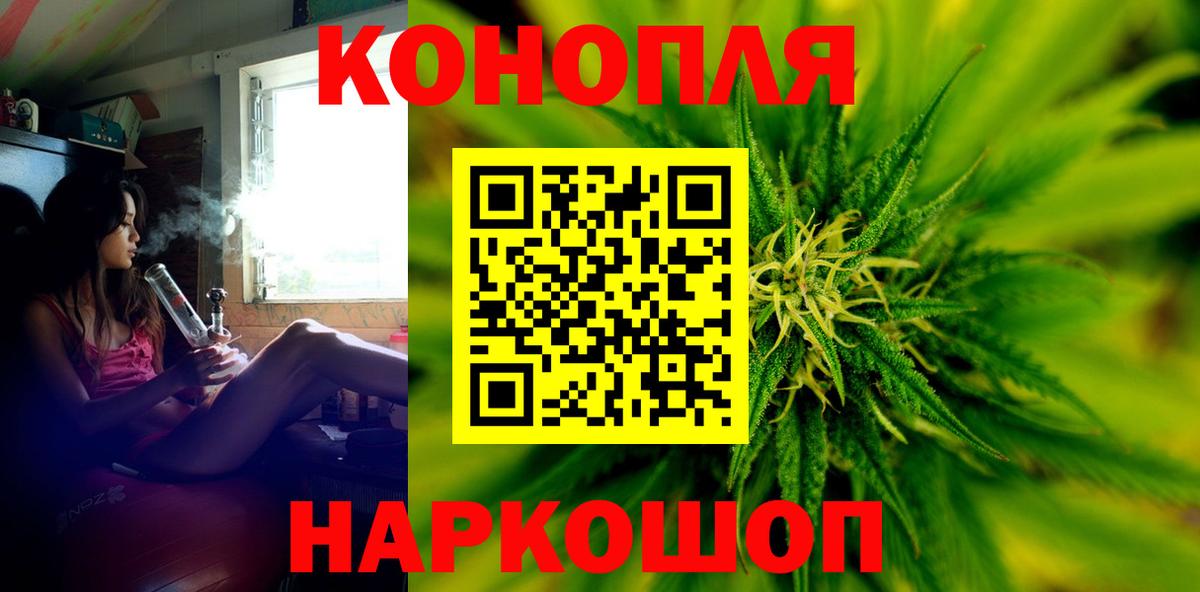 Марихуана план  Шишки марихуана сатива  Вход с VPN  Миасс  Бошки Шишки гибрид  Бошки марихуана Bruce Banner 